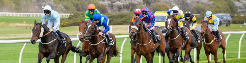 Scottish Flat Season Finale Raceday