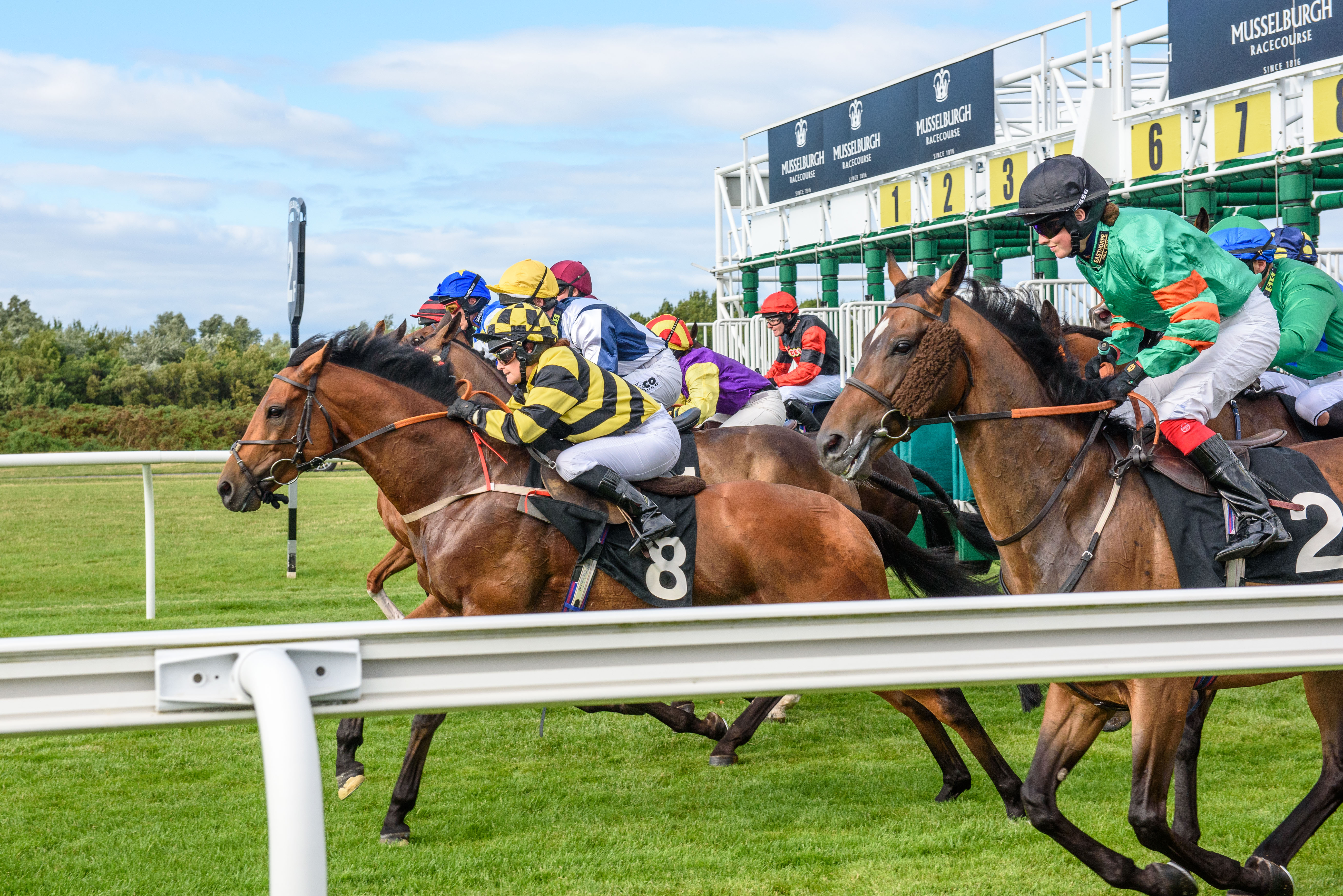 The Sky Bet Sunday Series Raceday