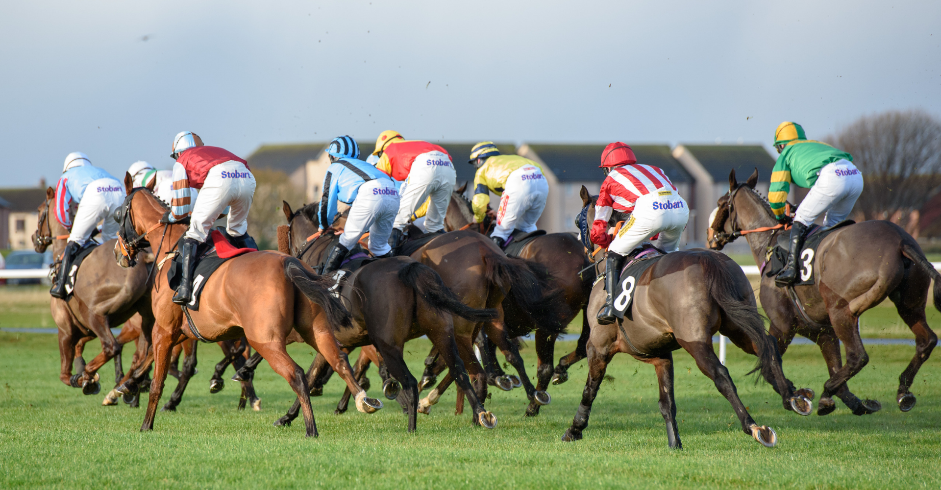 Musselburgh Racecourse has been deemed to be safe for racing and in excellent condition