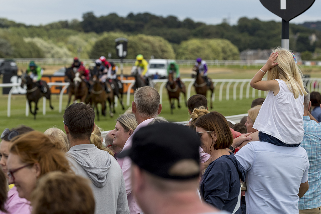 The Afternoon Flat Raceday