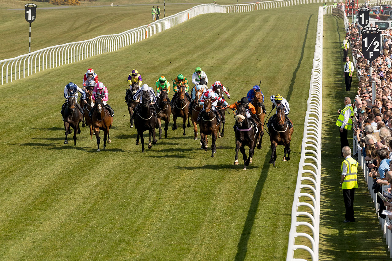 The Afternoon Flat Raceday