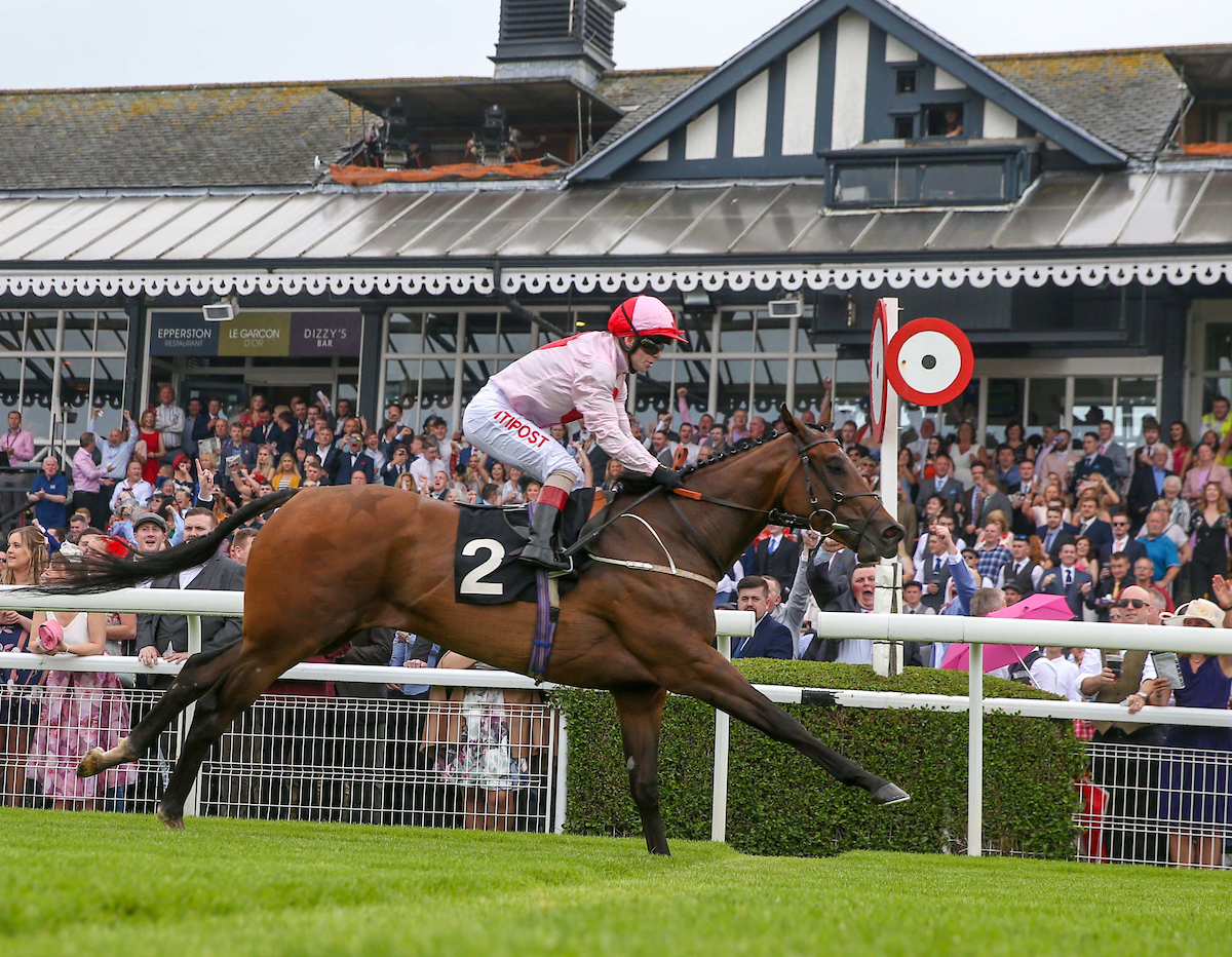 The Afternoon Flat Raceday