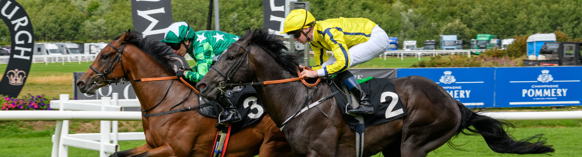 Friday at the Races