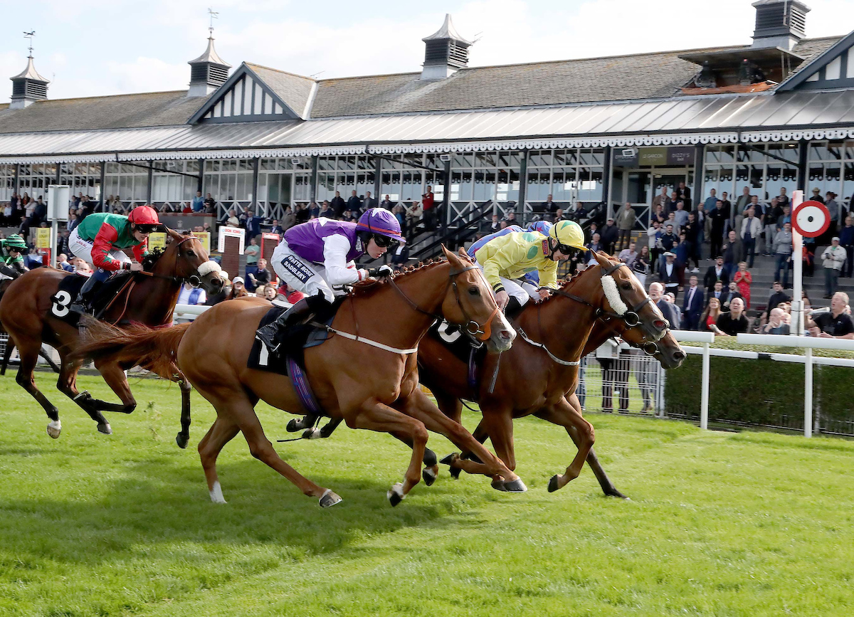 Friday at the Races