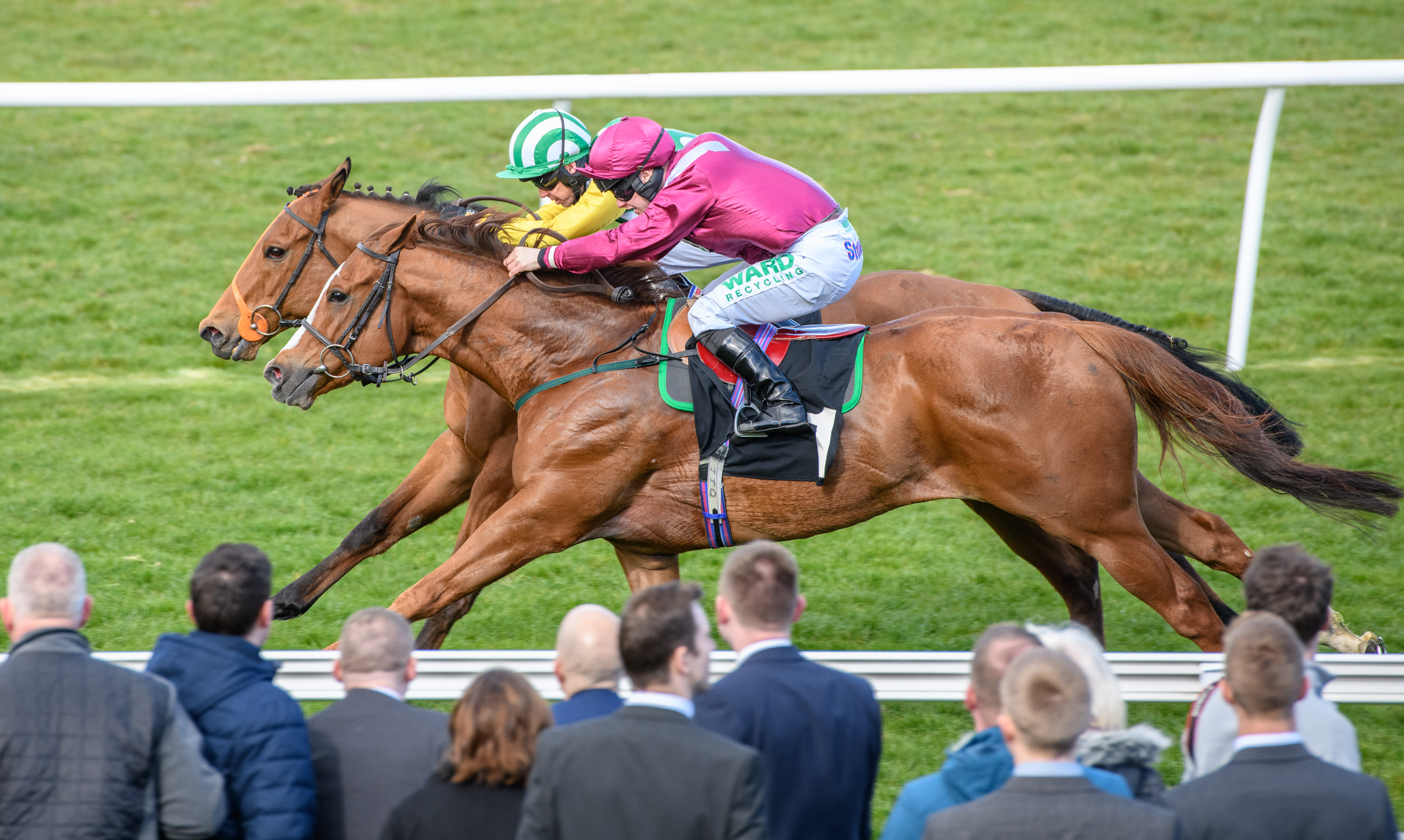 The Evening Flat Race Night
