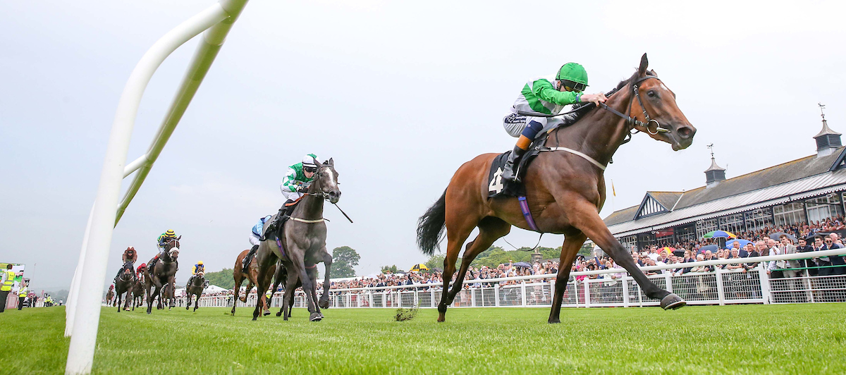 The Afternoon Flat Raceday
