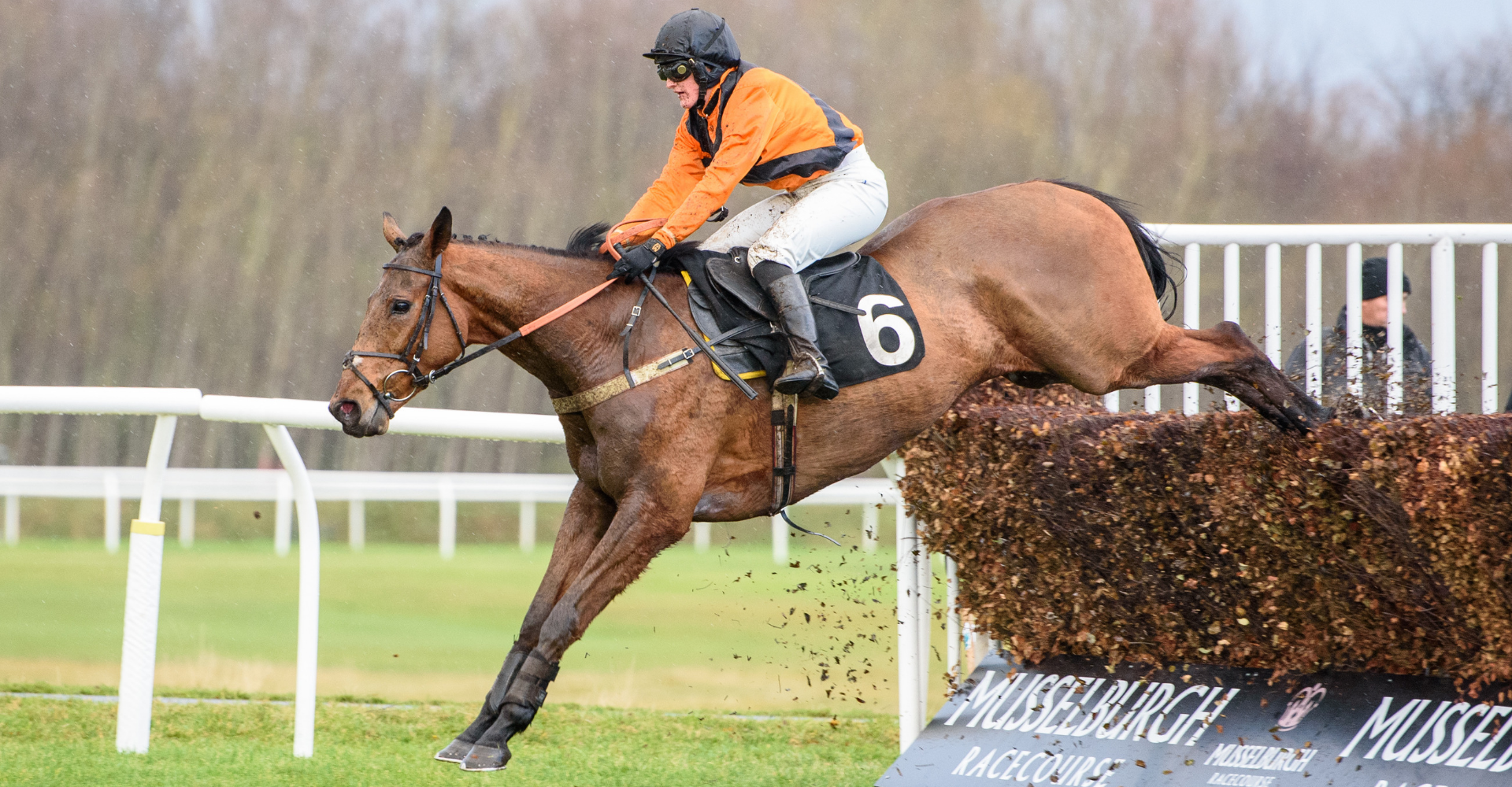 We are naturally disappointed to be losing our richest jumps fixture
