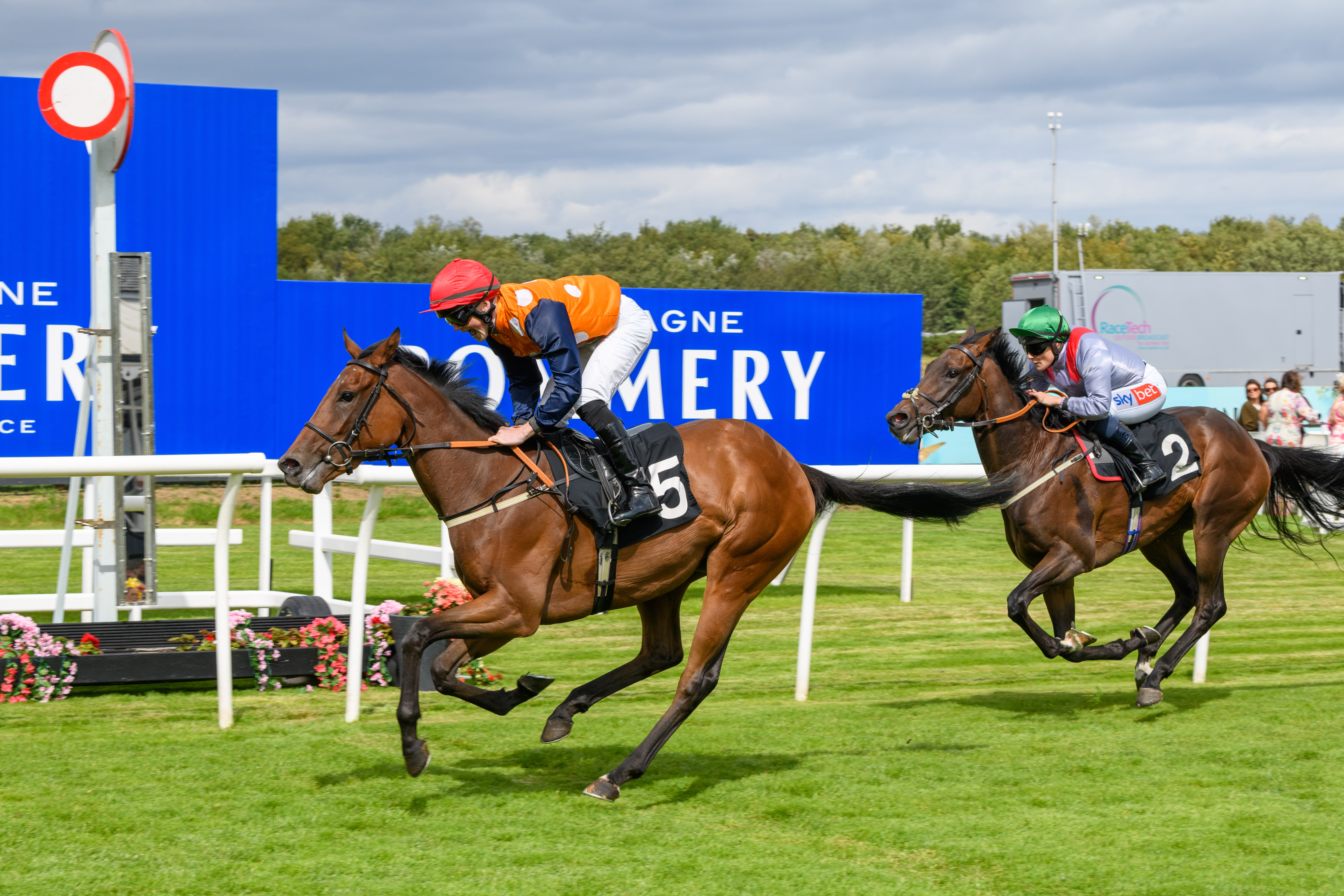 horse winning race