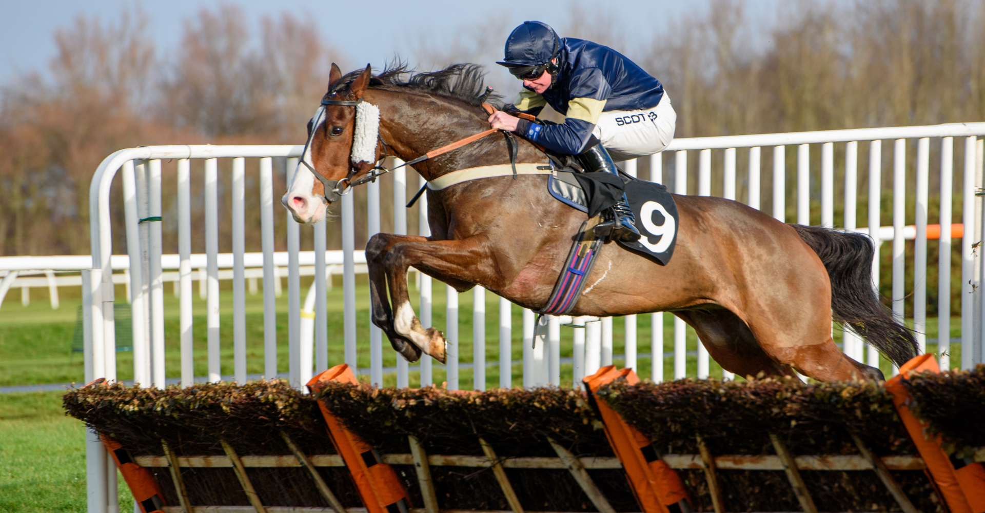 tomorrow's racing