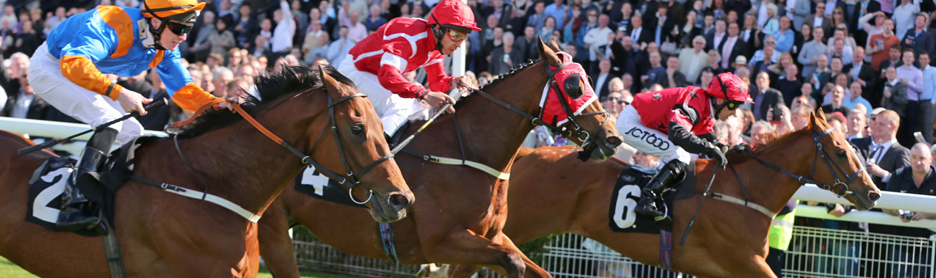 Edinburgh Cup Raceday 2017