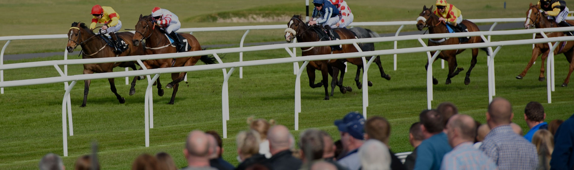Scottish Flat Season Blog
