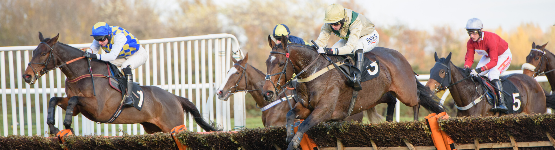 Musselburgh Shapes Up For Start Of National Hunt Season