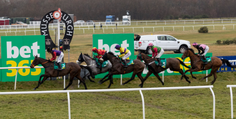 Best of British On Show At Musselburgh’s bet365 £270,000 Scottish Cheltenham Trials Festival