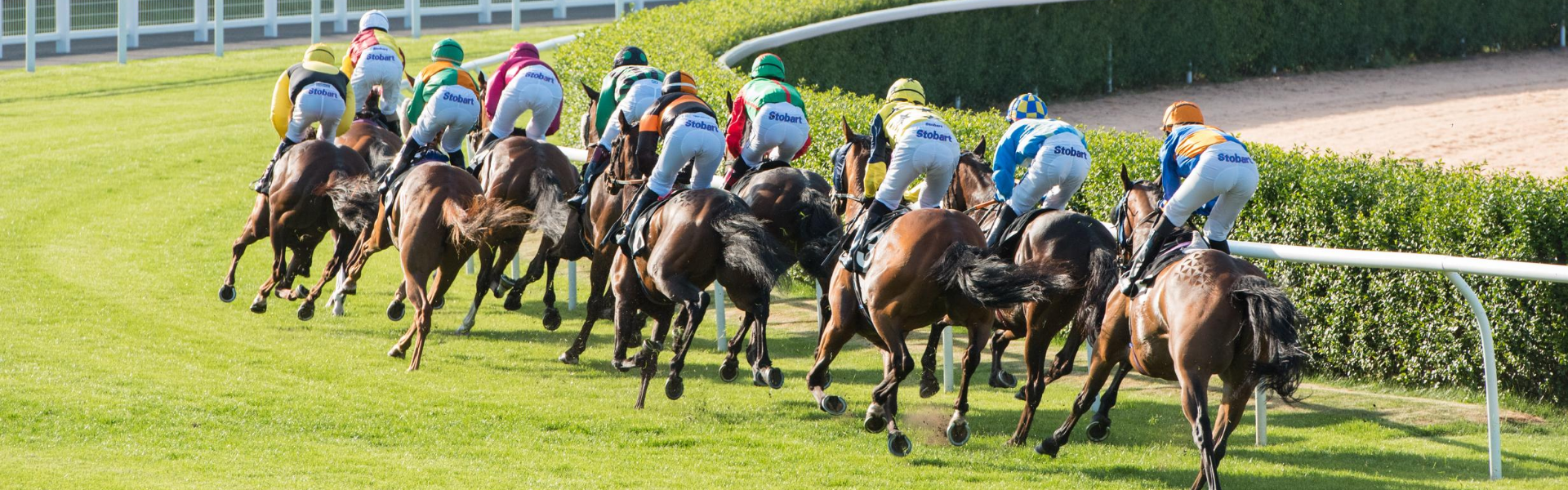 Musselburgh Awaits Green Light For Pilot Race Day With Spectators