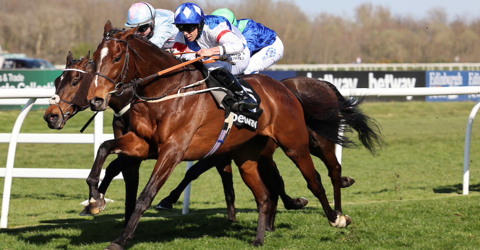 MARK JOHNSTON took Musselburgh by storm